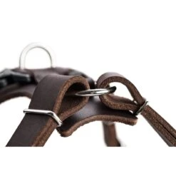 Hunter Hundegeschirr Aalborg Leder 34 Hunter Hundegeschirr Aalborg Leder -Angebote Hundenass Futter Store hunter hundegeschirr aalborg leder 1605190290