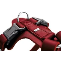 Hunter Hundegeschirr Aalborg Leder 36 Hunter Hundegeschirr Aalborg Leder -Angebote Hundenass Futter Store hunter hundegeschirr aalborg leder 1605190295