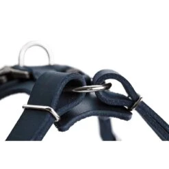 Hunter Hundegeschirr Aalborg Leder 39 Hunter Hundegeschirr Aalborg Leder -Angebote Hundenass Futter Store hunter hundegeschirr aalborg leder 1605190312