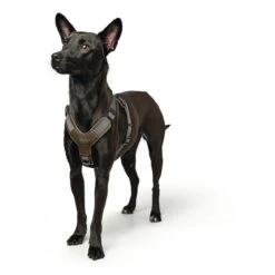 Hunter Hundegeschirr Aalborg Mixed -Angebote Hundenass Futter Store hunter hundegeschirr aalborg mixed 1585751825