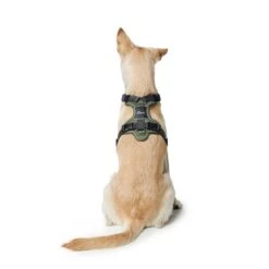 Hunter Hundegeschirr Divo -Angebote Hundenass Futter Store hunter hundegeschirr divo 1584175362