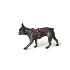 Hunter Hundegeschirr Divo -Angebote Hundenass Futter Store hunter hundegeschirr divo 1587365018