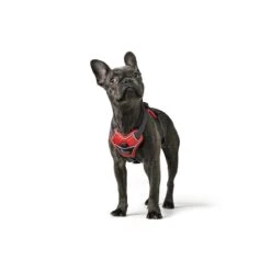 Hunter Hundegeschirr Divo -Angebote Hundenass Futter Store hunter hundegeschirr divo 1587365023
