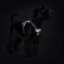 Hunter Hundegeschirr Divo Reflect -Angebote Hundenass Futter Store hunter hundegeschirr divo reflect 1627635366