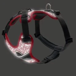 Hunter Hundegeschirr Divo Reflect -Angebote Hundenass Futter Store hunter hundegeschirr divo reflect 1627635392