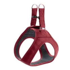 Hunter Hundegeschirr Hilo