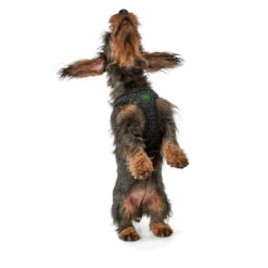 Hunter Hundegeschirr Hilo Soft Comfort -Angebote Hundenass Futter Store hunter hundegeschirr hilo soft comfort 1555166450