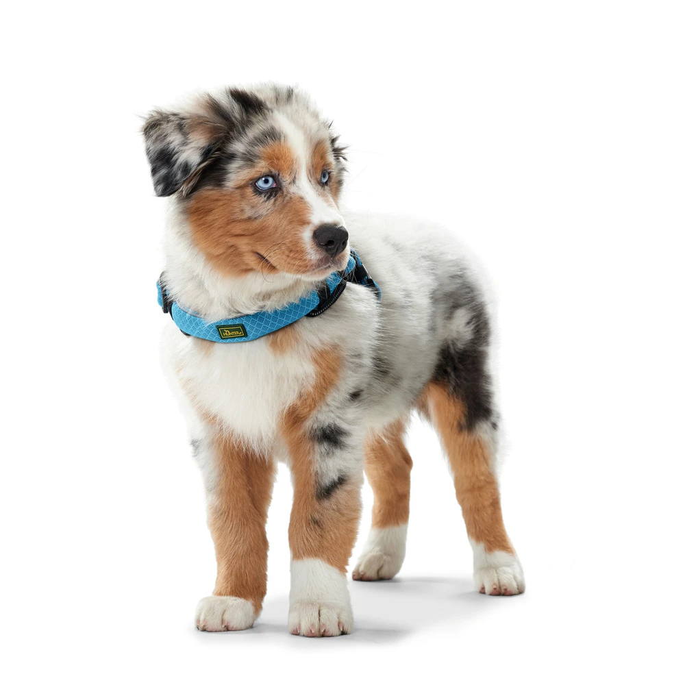 Hunter Hundegeschirr Manoa Vario Quick Light 11 Hunter Hundegeschirr Manoa Vario Quick Light – Bild 11