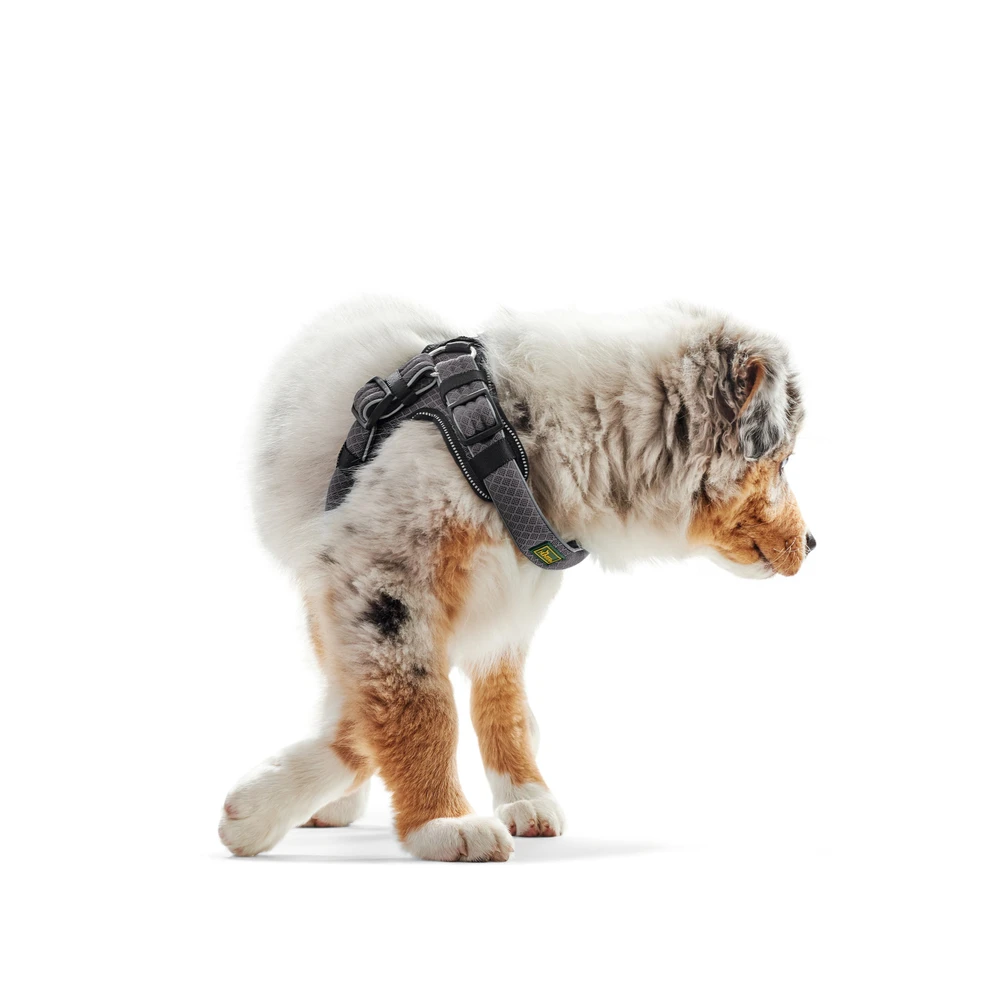 Hunter Hundegeschirr Manoa Vario Quick Light 12 Hunter Hundegeschirr Manoa Vario Quick Light – Bild 12