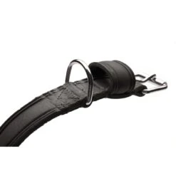 Hunter Hundehalsband Aalborg Rustica 25 Hunter Hundehalsband Aalborg Rustica -Angebote Hundenass Futter Store hunter hundehalsband aalborg rustica 1585581924