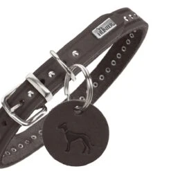 Hunter Hundehalsband Aalborg Style -Angebote Hundenass Futter Store hunter hundehalsband aalborg style 1679479049