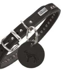 Hunter Hundehalsband Aalborg Style -Angebote Hundenass Futter Store hunter hundehalsband aalborg style 1679479066