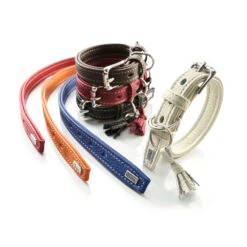 Hunter Hundehalsband Cannes -Angebote Hundenass Futter Store hunter hundehalsband cannes 1470928351