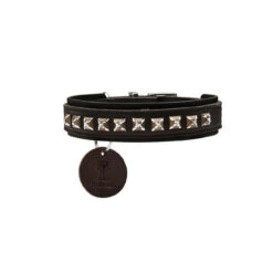 Hunter Hundehalsband Larvik Style Comfort -Angebote Hundenass Futter Store hunter hundehalsband larvik style comfort 1535292811