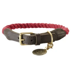 Hunter Hundehalsband List Tau 11 Hunter Hundehalsband List Tau -Angebote Hundenass Futter Store hunter hundehalsband list tau 1502706841