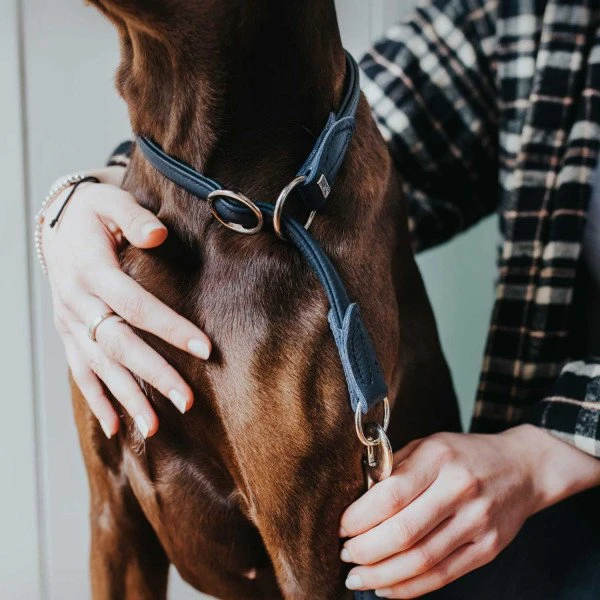 Hunter Hundehalsband Round & Soft Leder 2 Hunter Hundehalsband Round & Soft Leder – Bild 2