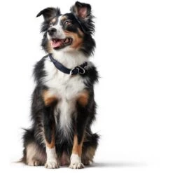 Hunter Hundehalsband Round & Soft Leder 22 Hunter Hundehalsband Round & Soft Leder -Angebote Hundenass Futter Store hunter hundehalsband round soft leder 1607076080