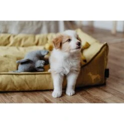 Hunter Hundesofa Eiby -Angebote Hundenass Futter Store hunter hundesofa eiby 1603995452