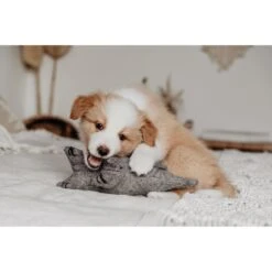 Hunter Hundespielzeug Eiby -Angebote Hundenass Futter Store hunter hundespielzeug eiby 1604410358