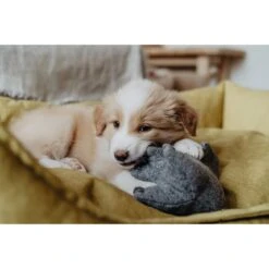 Hunter Hundespielzeug Eiby -Angebote Hundenass Futter Store hunter hundespielzeug eiby 1604410363