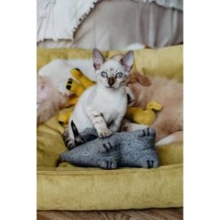 Hunter Hundespielzeug Eiby -Angebote Hundenass Futter Store hunter hundespielzeug eiby 1604410374