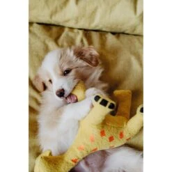 Hunter Hundespielzeug Eiby -Angebote Hundenass Futter Store hunter hundespielzeug eiby 1604410385