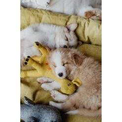 Hunter Hundespielzeug Eiby -Angebote Hundenass Futter Store hunter hundespielzeug eiby 1604410396