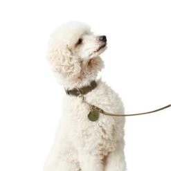 Hunter Leder Halsband Aalborg 22 Hunter Leder Halsband Aalborg -Angebote Hundenass Futter Store hunter leder halsband aalborg 1630398550