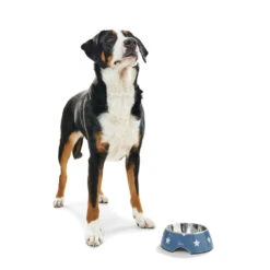 Hunter Melamin-Napf Aarhus 3 Hunter Melamin-Napf Aarhus -Angebote Hundenass Futter Store hunter melamin napf aarhus 1478703245