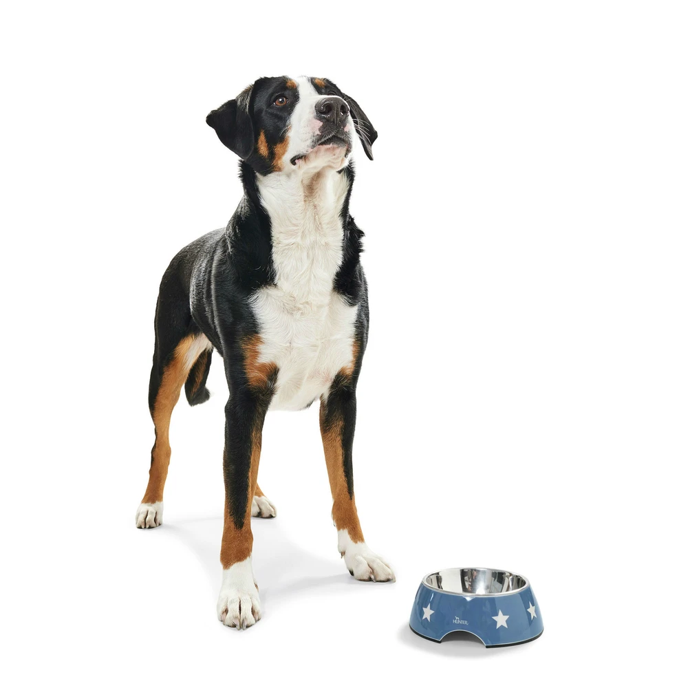 Hunter Melamin-Napf Aarhus 2 Hunter Melamin-Napf Aarhus – Bild 2