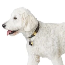 Hunter Sansibar Leder Halsung Für Hunde 17 Hunter Sansibar Leder Halsung Für Hunde -Angebote Hundenass Futter Store hunter sansibar leder halsung fuer hunde 1656595247