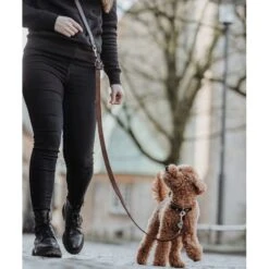 Hunter Stufenlos Verstellbare Umhängeleine Aalborg -Angebote Hundenass Futter Store hunter stufenlos verstellbare umhaengeleine aalborg 1656924356