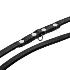 Hunter Verstellbare Führleine Canadian Up 21 Hunter Verstellbare Führleine Canadian Up -Angebote Hundenass Futter Store hunter verstellbare fuehrleine canadian up 1679484024