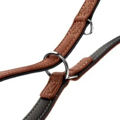 Hunter Verstellbare Führleine Canadian Up 29 Hunter Verstellbare Führleine Canadian Up -Angebote Hundenass Futter Store hunter verstellbare fuehrleine canadian up 1679484031