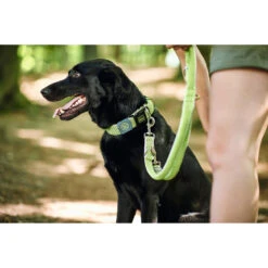 Hunter Verstellbare Führleine Hilo -Angebote Hundenass Futter Store hunter verstellbare fuehrleine hilo 1533754639