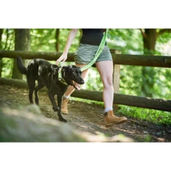 Hunter Verstellbare Führleine Hilo -Angebote Hundenass Futter Store hunter verstellbare fuehrleine hilo 1533754653