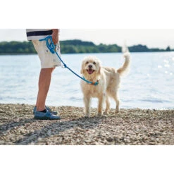 Hunter Verstellbare Führleine Oss 18 Hunter Verstellbare Führleine Oss -Angebote Hundenass Futter Store hunter verstellbare fuehrleine oss 1535289111