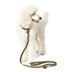 Hunter Verstellbare Führleine Softvollrindleder -Angebote Hundenass Futter Store hunter verstellbare fuehrleine softvollrindleder 1557404667