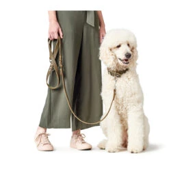 Hunter Verstellbare Führleine Softvollrindleder -Angebote Hundenass Futter Store hunter verstellbare fuehrleine softvollrindleder 1557404677