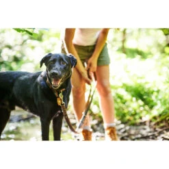 Hunter Verstellbare Führleine Tara Juchtenleder -Angebote Hundenass Futter Store hunter verstellbare fuehrleine tara juchtenleder 1531126487