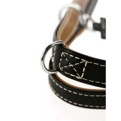 Hunter Verstellbare Führleine Tara Juchtenleder -Angebote Hundenass Futter Store hunter verstellbare fuehrleine tara juchtenleder 1531126513