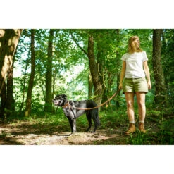 Hunter Verstellbare Führleine Tara Juchtenleder -Angebote Hundenass Futter Store hunter verstellbare fuehrleine tara juchtenleder 1531126536