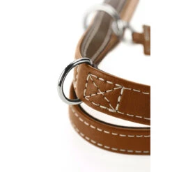 Hunter Verstellbare Führleine Tara Juchtenleder -Angebote Hundenass Futter Store hunter verstellbare fuehrleine tara juchtenleder 1531126542