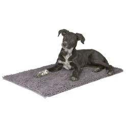Kerbl Hunde Schmutzfangmatte SuperBed -Angebote Hundenass Futter Store kerbl hunde schmutzfangmatte superbed 1477560125