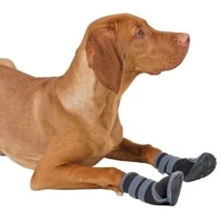 Kerbl Pfotenschutz Für Hunde Active -Angebote Hundenass Futter Store kerbl pfotenschutz fuer hunde active 1623838132