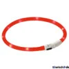 Kerbl LED-Halsband Maxi Safe