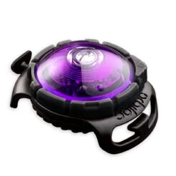 Orbiloc Dog Dual Safety Light Hundelicht 33 Orbiloc Dog Dual Safety Light Hundelicht -Angebote Hundenass Futter Store orbiloc dog dual safety light hundelicht 1595503491