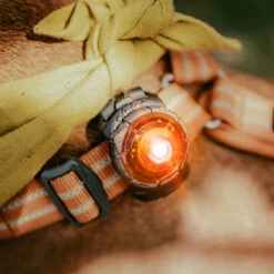 Orbiloc Dog Dual Safety Light Hundelicht 29 Orbiloc Dog Dual Safety Light Hundelicht -Angebote Hundenass Futter Store orbiloc dog dual safety light hundelicht 1671118798