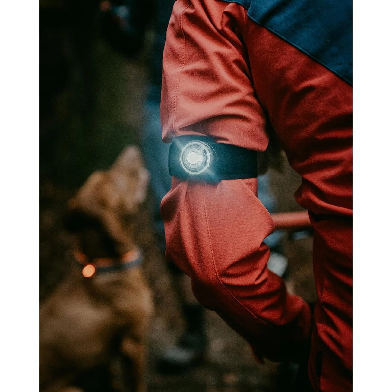 Orbiloc K9 Active Doppelpack 9 Orbiloc K9 Active Doppelpack – Bild 9
