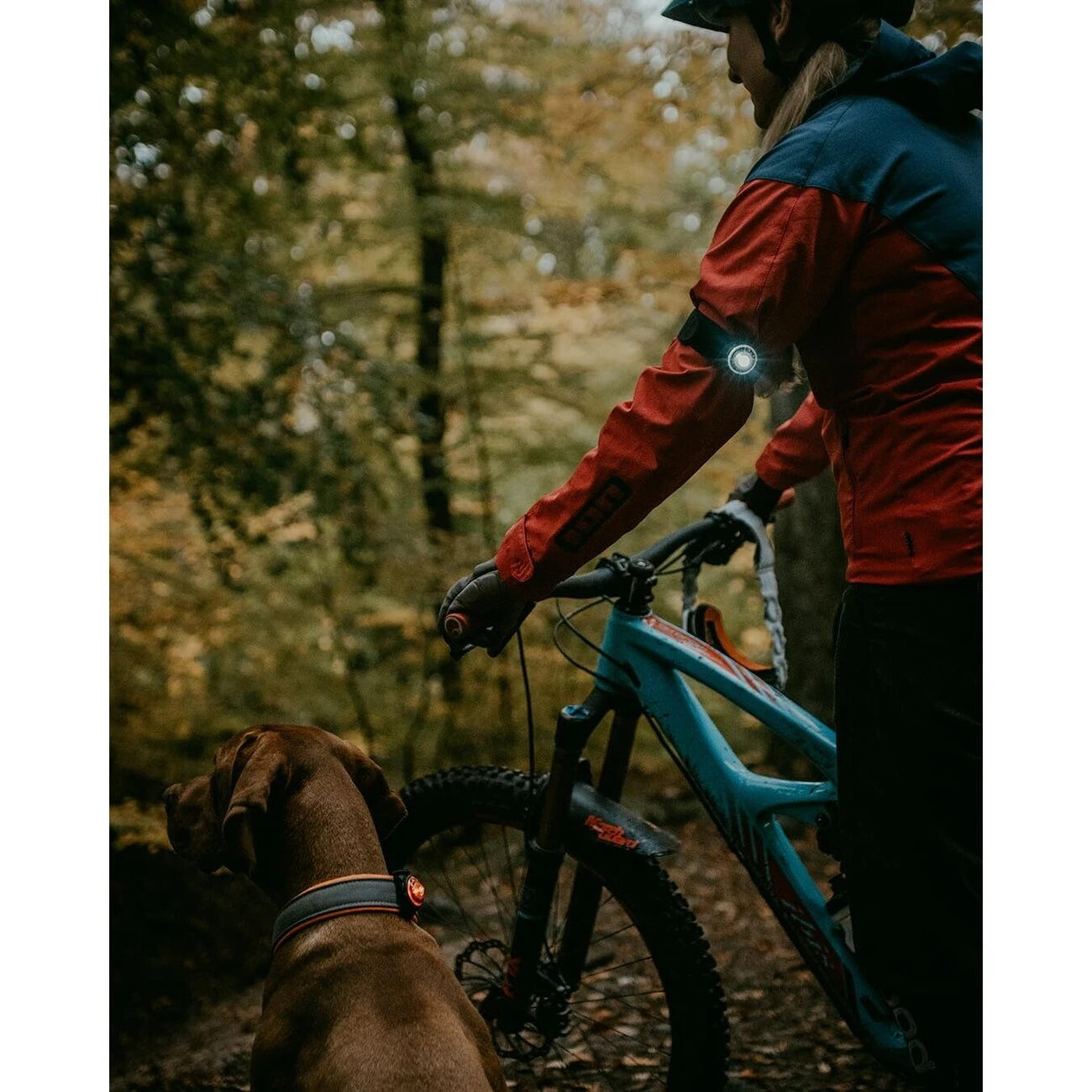 Orbiloc K9 Active Doppelpack 6 Orbiloc K9 Active Doppelpack – Bild 6